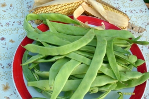 Taccole Meraviglia
